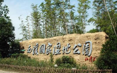㽭205A㽭5a